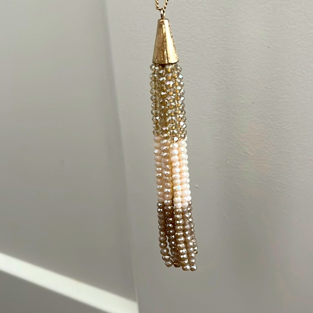 Francesca’s Long Champagne Necklace